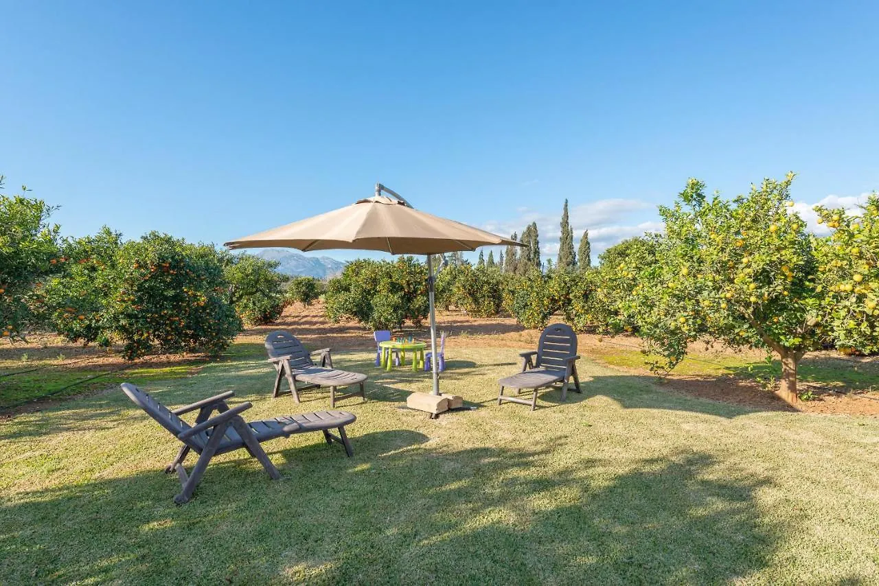 Can Rafelino, Pool And Relax Llubi Spain