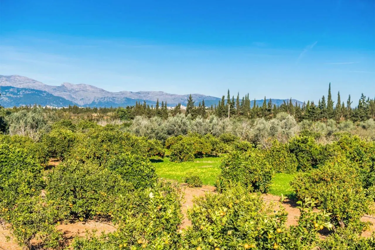 Can Rafelino, Pool And Relax Llubi Villa